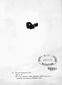 Image Associated With the Occurence